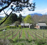 Wilmot Hills Vineyard - Getaway Accommodation