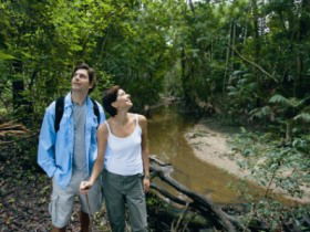Mooloolah River National Park, Jowarra Section - Getaway Accommodation 0
