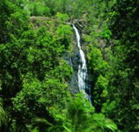 Kondalilla National Park - Getaway Accommodation
