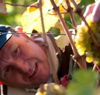 Puddleduck Vineyard - Getaway Accommodation