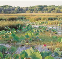 Fogg Dam Conservation Reserve - Getaway Accommodation