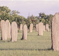 Magnetic Termite Mounds - Getaway Accommodation