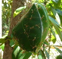 Greenant Creek Walk - Getaway Accommodation