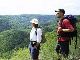Sunshine Coast Hinterland Great! Walk - Getaway Accommodation 0