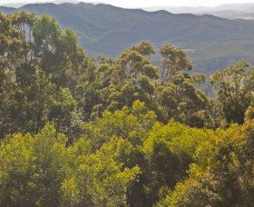 Conondale National Park - Getaway Accommodation 0
