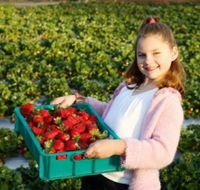Strawberry Fields - Getaway Accommodation