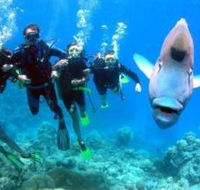 Jew Shoal Dive Site - Getaway Accommodation