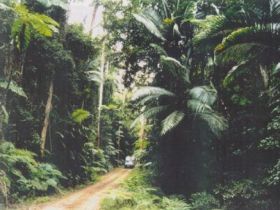 Conondale Great Walk - Getaway Accommodation 0