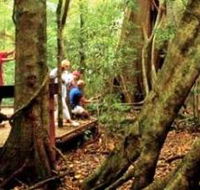 Mary Cairncross Scenic Reserve - Getaway Accommodation