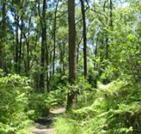 Mapleton Falls National Park - Getaway Accommodation