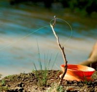 Charleville - Mangalore Warrego River Fishing Spot - Getaway Accommodation