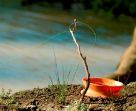 Charleville - Mangalore Warrego River Fishing Spot - Getaway Accommodation 0