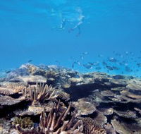Australian Institute of Marine Science - Getaway Accommodation