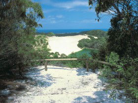 Lake Wabby Track - Getaway Accommodation 0