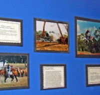 Town Hall Photographic Display - Getaway Accommodation