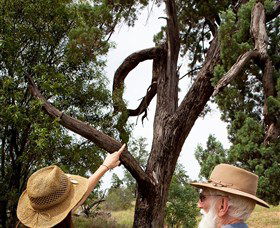 Charleville - Outback Native Timber Walk - Getaway Accommodation 0