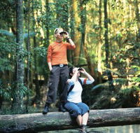 Birdwatching on the Fraser Coast - Getaway Accommodation