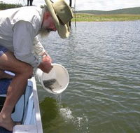 Eungella Dam - Getaway Accommodation
