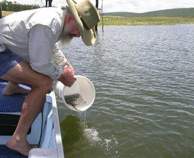 Eungella Dam - Getaway Accommodation 0