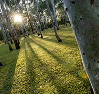 Tondoon Botanic Gardens - Getaway Accommodation