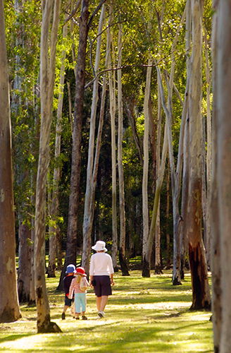 Tondoon Botanic Gardens - Getaway Accommodation 3