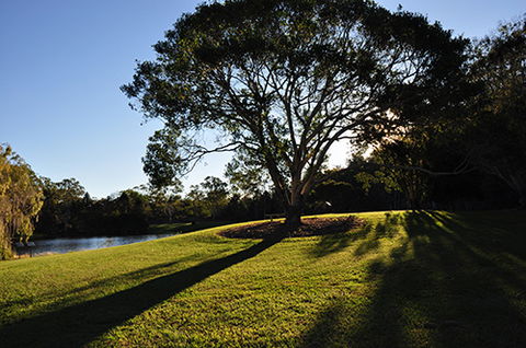 Tondoon Botanic Gardens - Getaway Accommodation 4