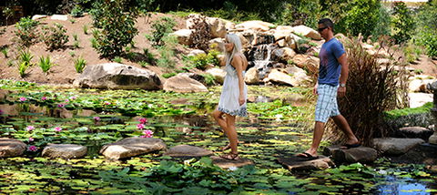 Tondoon Botanic Gardens - Getaway Accommodation 7