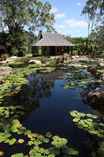 Tondoon Botanic Gardens - Getaway Accommodation 8