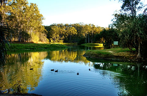 Tondoon Botanic Gardens - Getaway Accommodation 9