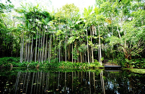 Tondoon Botanic Gardens - Getaway Accommodation 11