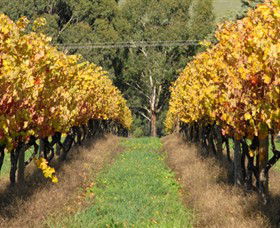 Wild Dog Winery & Restaurant - Getaway Accommodation 0