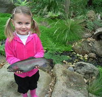 Wild Food Farm  Cafe - Getaway Accommodation