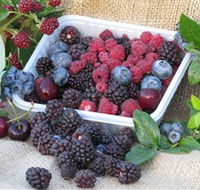 Bright Berry Farms - Getaway Accommodation