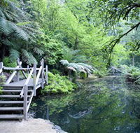 Alfred Nicholas Gardens - Getaway Accommodation