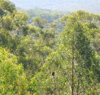 Bunyip State Park - Getaway Accommodation