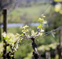 Michelini Wines - Getaway Accommodation
