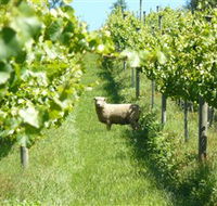 Passing Clouds - Getaway Accommodation