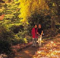 George Tindale Memorial Gardens - Getaway Accommodation