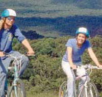 Lysterfield Park - Getaway Accommodation