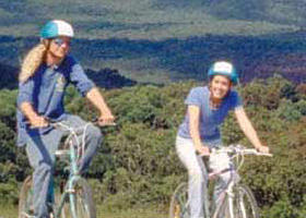 Lysterfield Park - Getaway Accommodation 0