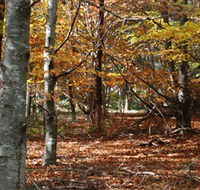 RJ Hamer Arboretum - Getaway Accommodation