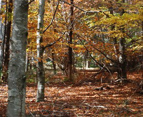 RJ Hamer Arboretum - Getaway Accommodation 0