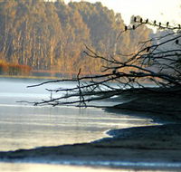 Barmah National Park - Getaway Accommodation