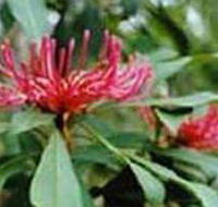 Alfred National Park - Getaway Accommodation