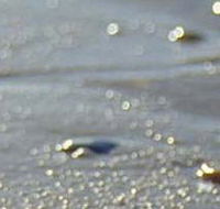 Cape Liptrap Coastal Park - Getaway Accommodation