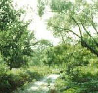 Holey Plains State Park - Getaway Accommodation