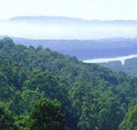 Kalorama Park - Getaway Accommodation