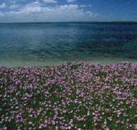 The Lakes National Park - Getaway Accommodation