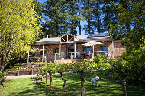 Main Ridge Estate - Getaway Accommodation 2