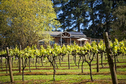Main Ridge Estate - Getaway Accommodation 3